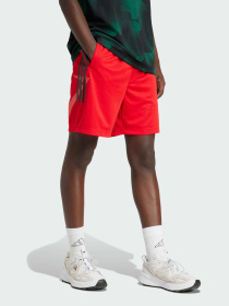 Шорты Adidas Tiro модель JC8057 Фото