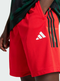 Шорты Adidas Tiro модель JC8057 Фото