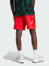 Повсякденні шорти Adidas Tiro модель JC8057 Фото