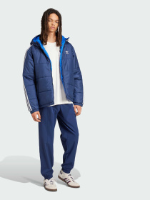 Демисезонная куртка Adidas Adicolor модель JD9073 Фото