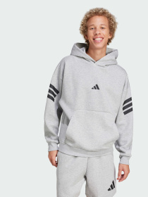 Худи Adidas 3 Stripes модель JD4847 Фото