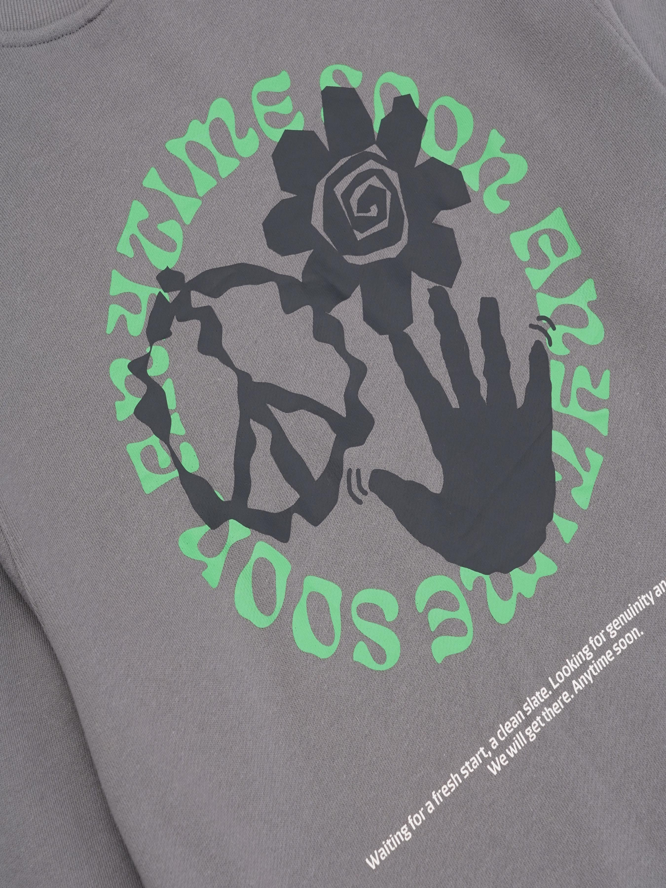 Свитшот H&M модель 75316 Свитшот H&M модель 75316 Фото