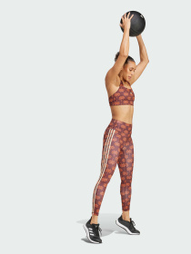 Легінси спортивні Adidas модель JE6450 Фото