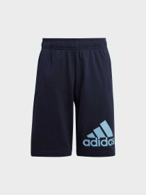 Шорты Adidas модель JF8748 Фото