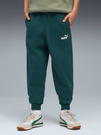 Штани спортивні PUMA Ess No. 1 Logo Sweatpants Fl модель 684912 Фото
