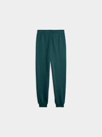 Штаны спортивные PUMA Ess No. 1 Logo Sweatpants Fl модель 684912 Фото