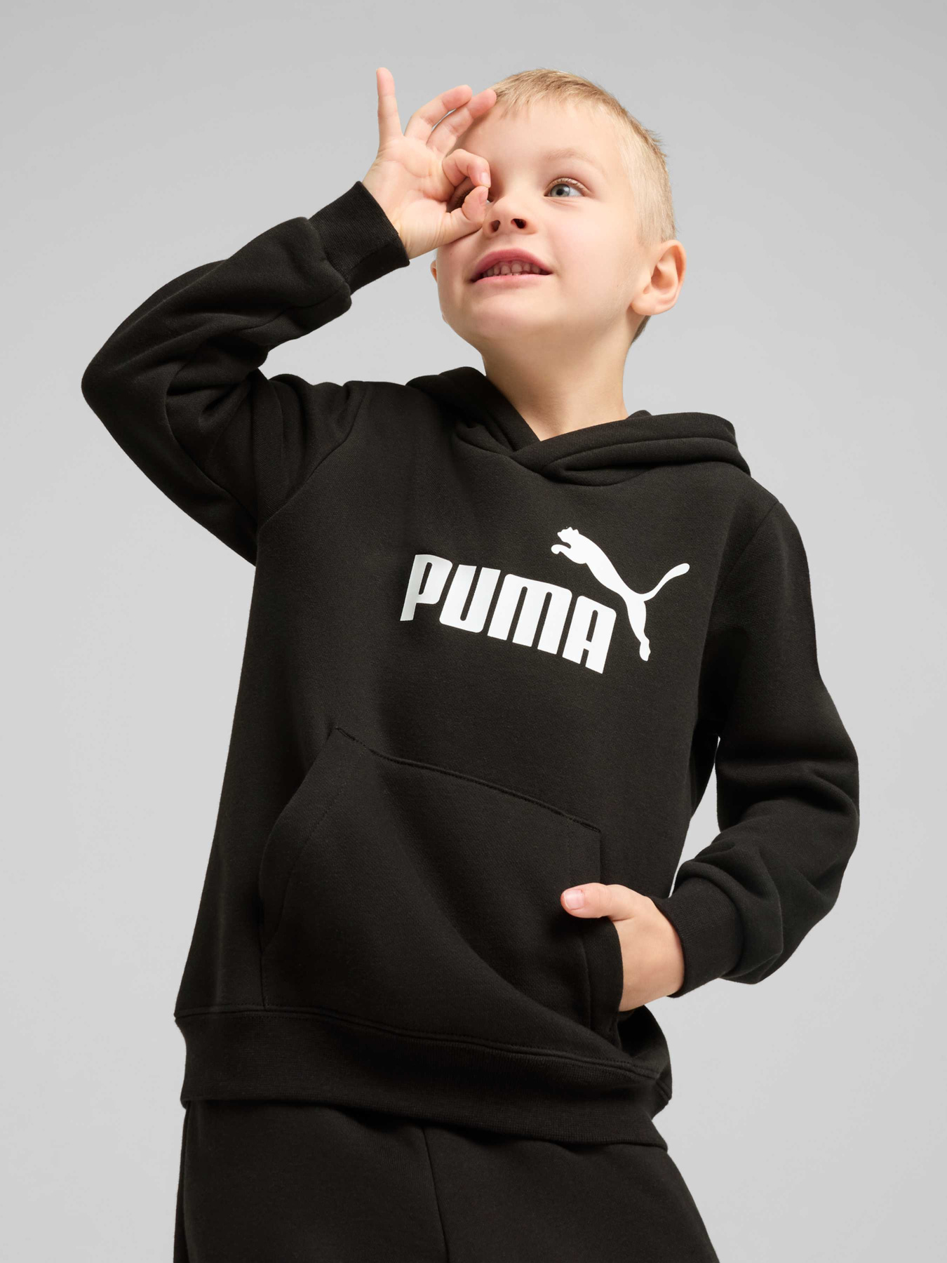 Худи PUMA Ess No. 1 Logo Hoodie модель 684931 Фото