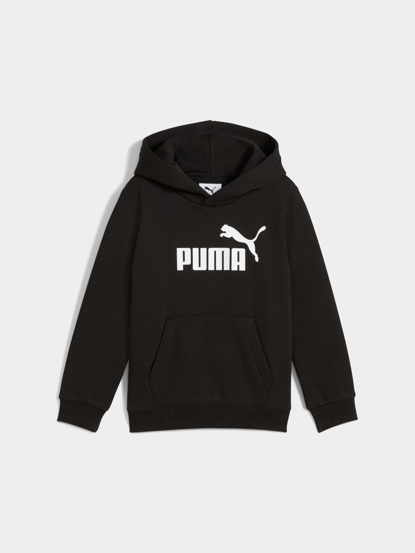 Худи PUMA Ess No. 1 Logo Hoodie модель 684931 Фото