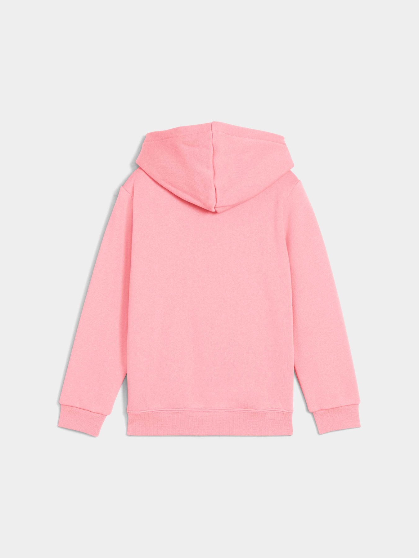 Худи PUMA Ess No. 1 Logo Hoodie модель 684931 Фото