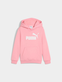 Худи PUMA Ess No. 1 Logo Hoodie модель 684931 Фото