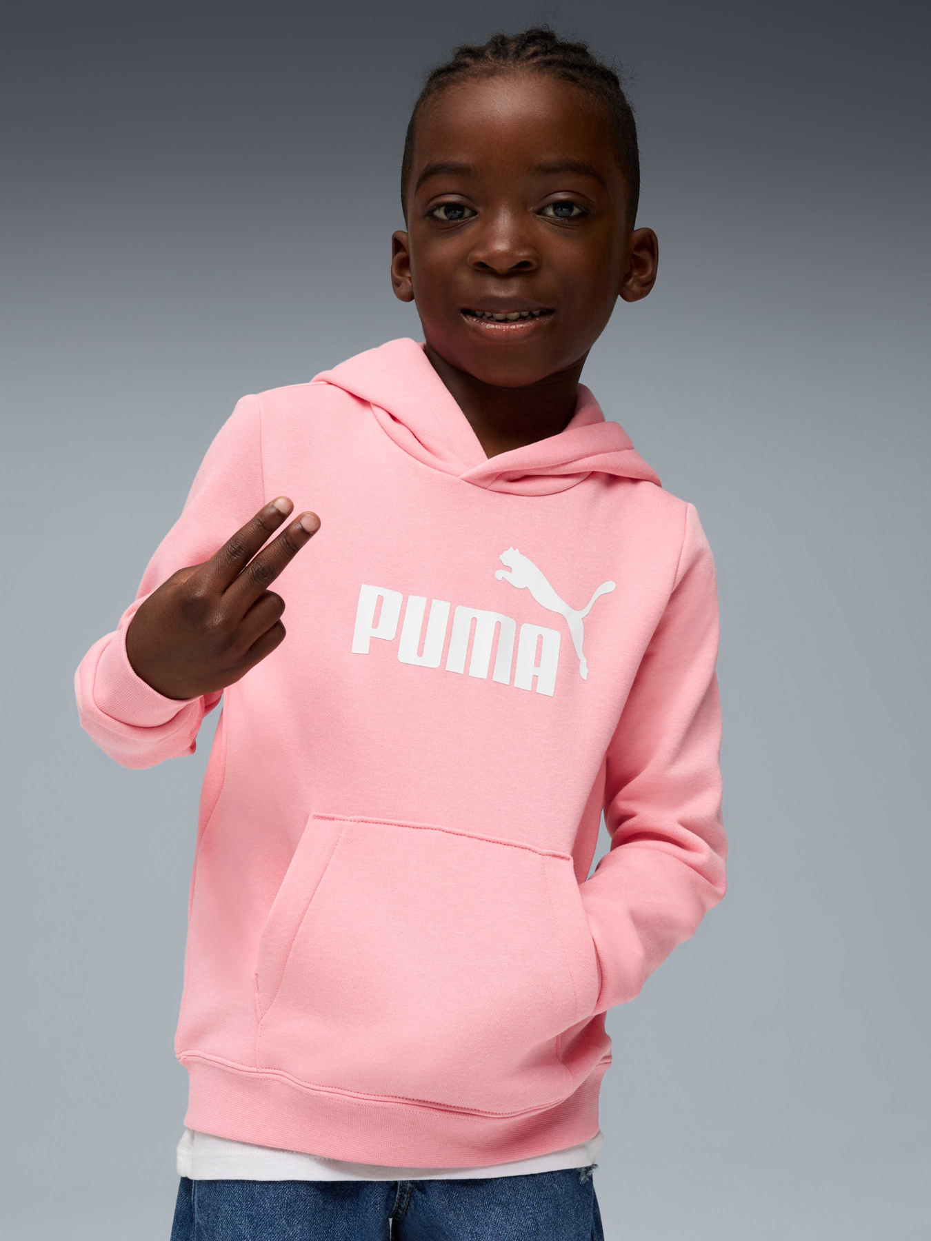 Худи PUMA Ess No. 1 Logo Hoodie модель 684931 Фото