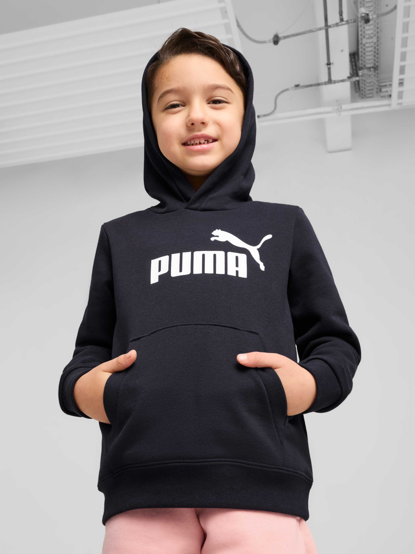 Худи PUMA Ess No. 1 Logo Hoodie модель 684931 Фото