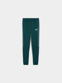 Штаны спортивные PUMA Ess Tape Sweatpants модель 689252 Фото