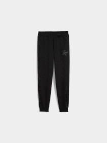 Штаны спортивные PUMA Ess Script Sweatpants модель 688729 Фото