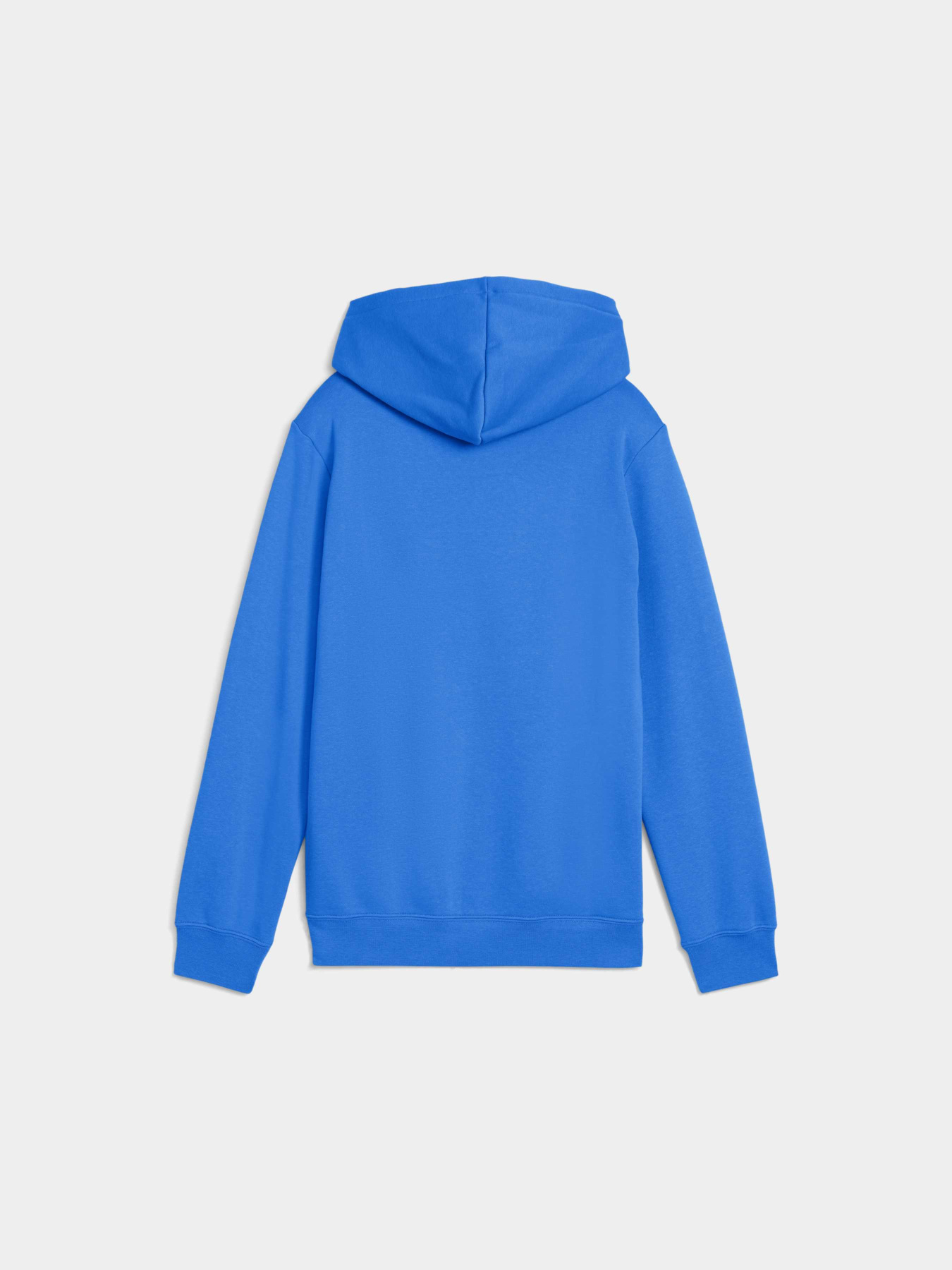 Худи PUMA Ess No. 1 Logo Hoodie Fl модель 684908 Фото