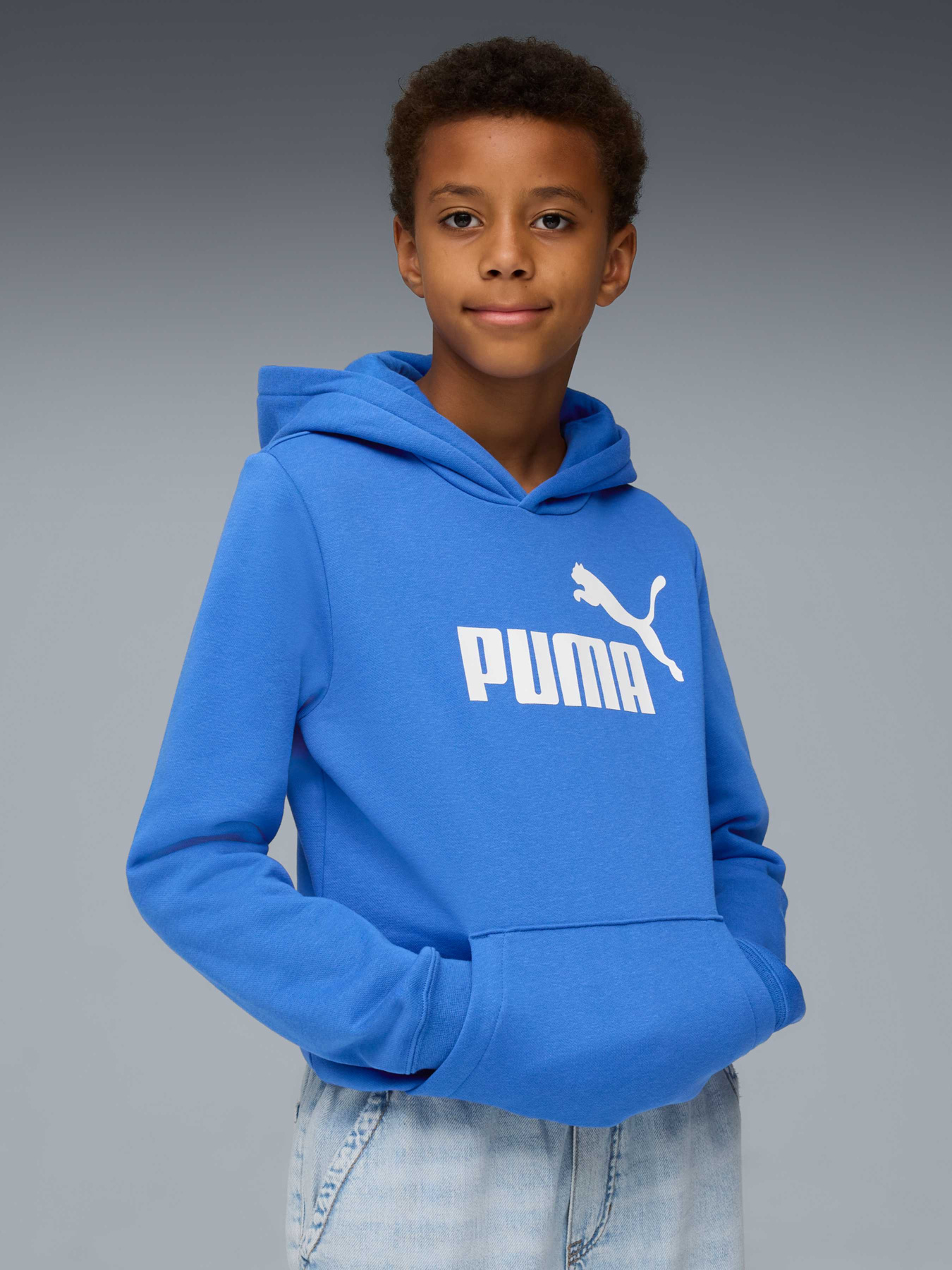 Худи PUMA Ess No. 1 Logo Hoodie Fl модель 684908 Фото
