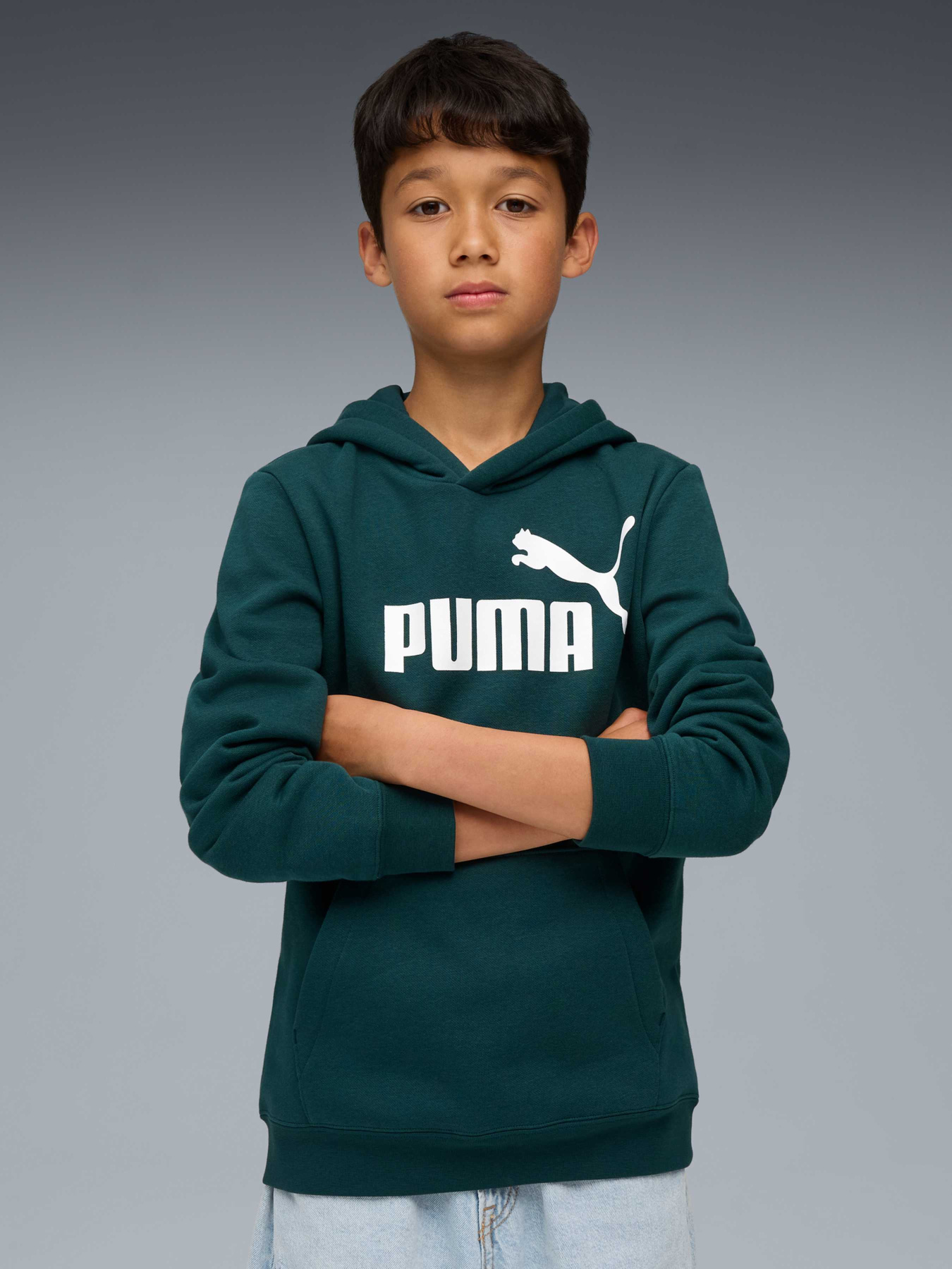 Худи PUMA Ess No. 1 Logo Hoodie Fl модель 684908 Фото