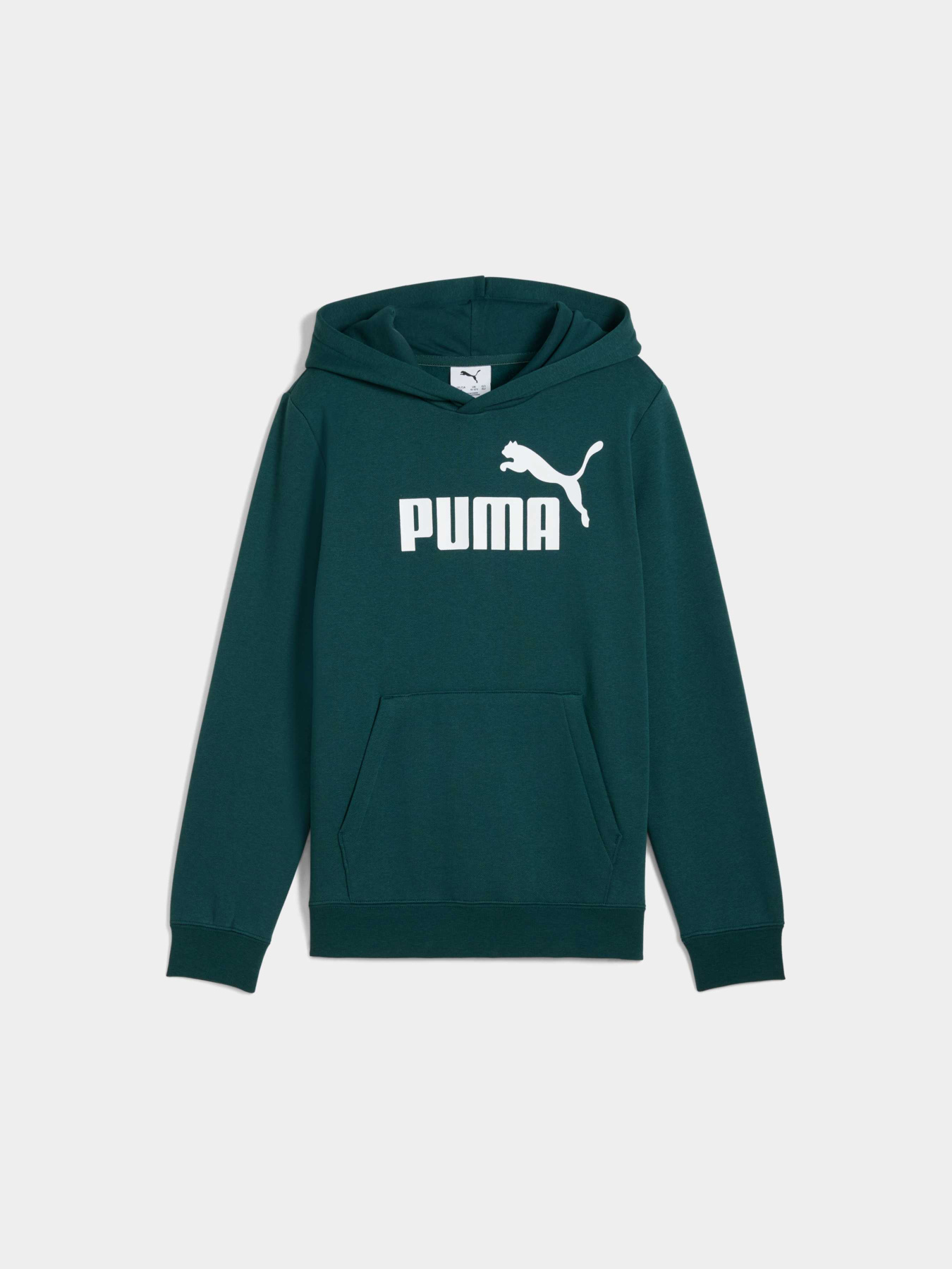 Худи PUMA Ess No. 1 Logo Hoodie Fl модель 684908 Фото