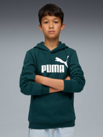 Худи PUMA Ess No. 1 Logo Hoodie Fl модель 684908 Фото