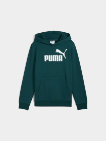 Худи PUMA Ess No. 1 Logo Hoodie Fl модель 684908 Фото