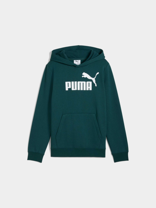 Худи PUMA Ess No. 1 Logo Hoodie Fl модель 684908 Фото