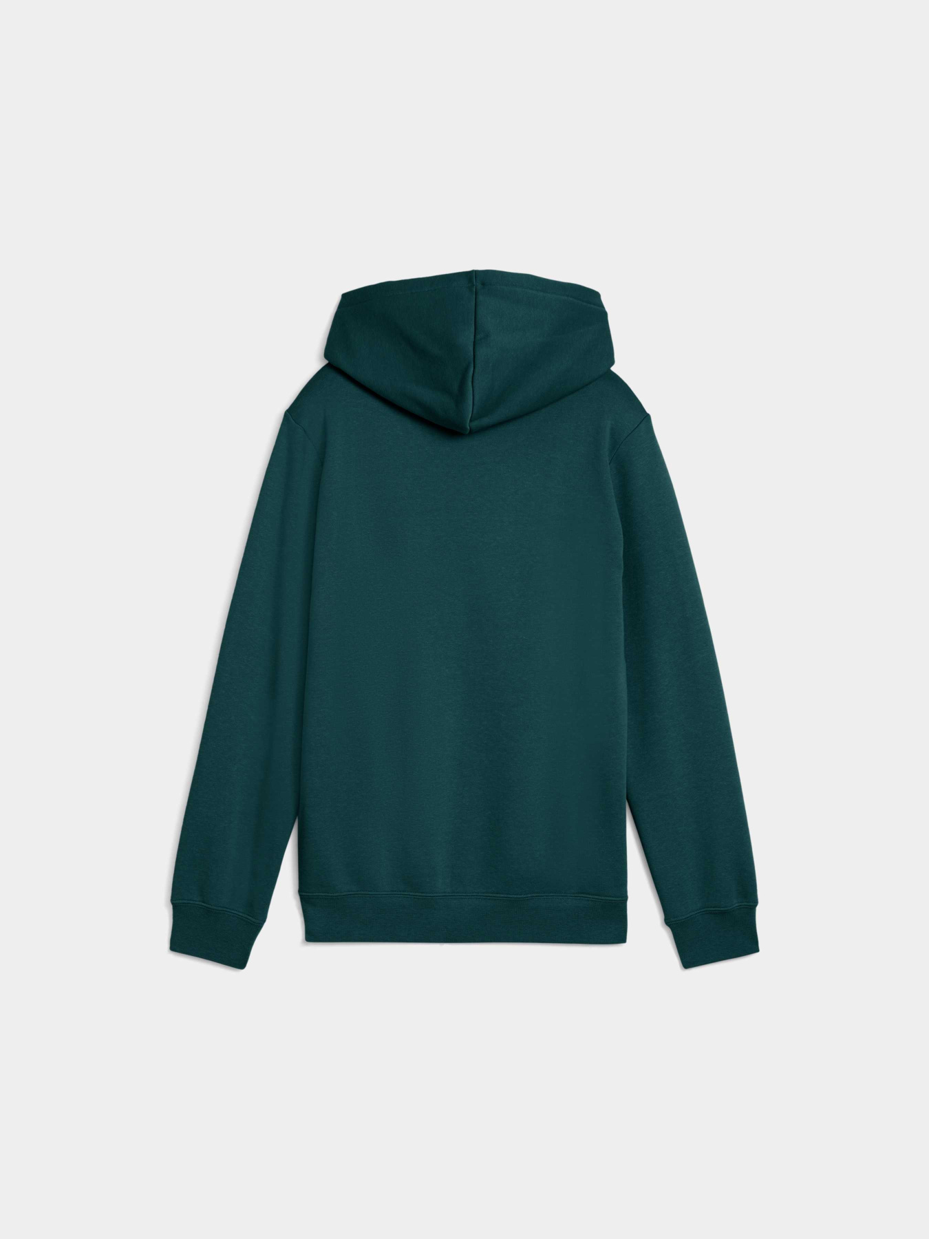 Худи PUMA Ess No. 1 Logo Hoodie Fl модель 684908 Фото