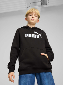 Худи PUMA Ess No. 1 Logo Hoodie Fl модель 684908 Фото