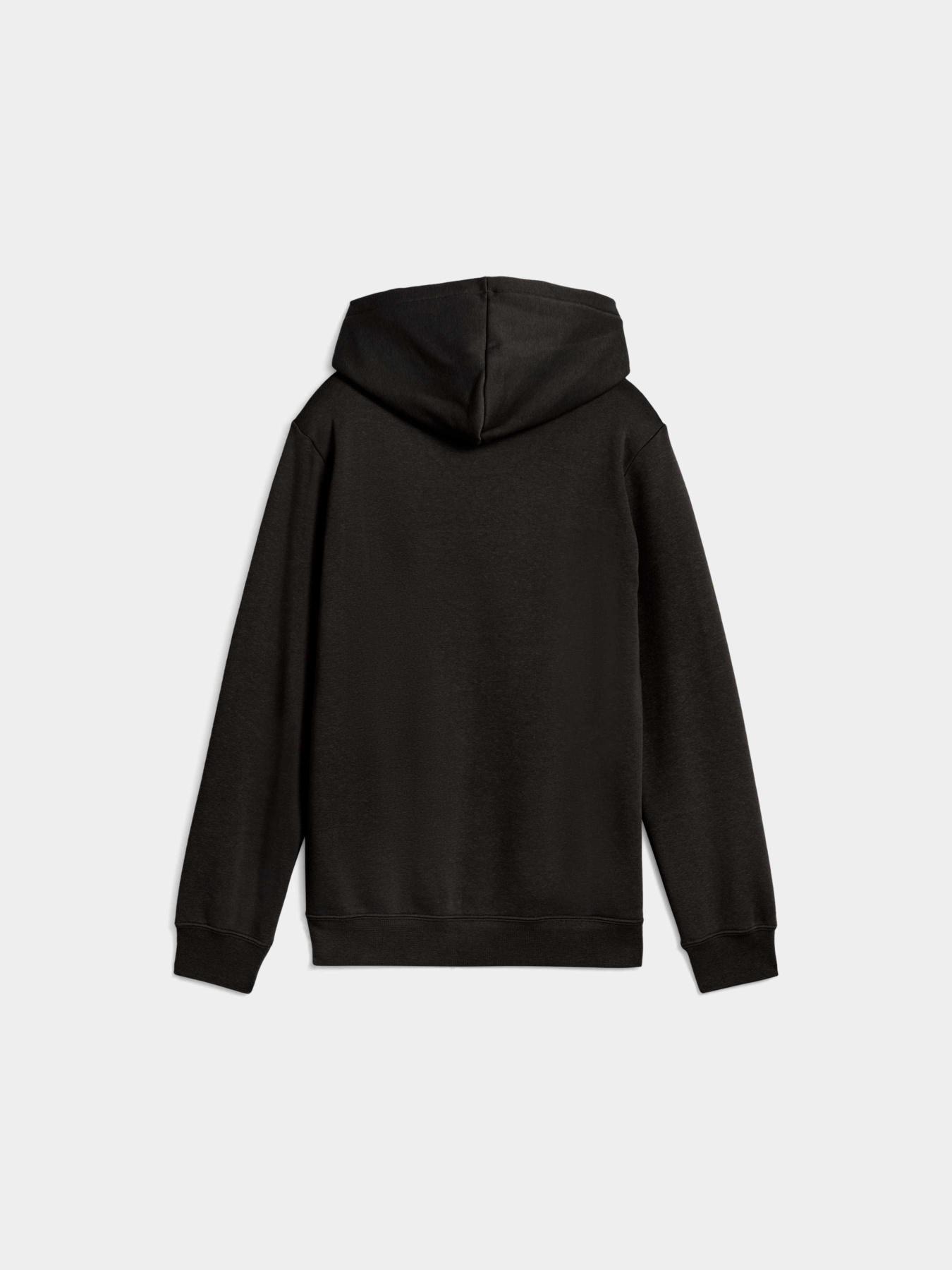 Худи PUMA Ess No. 1 Logo Hoodie Fl модель 684908 Фото