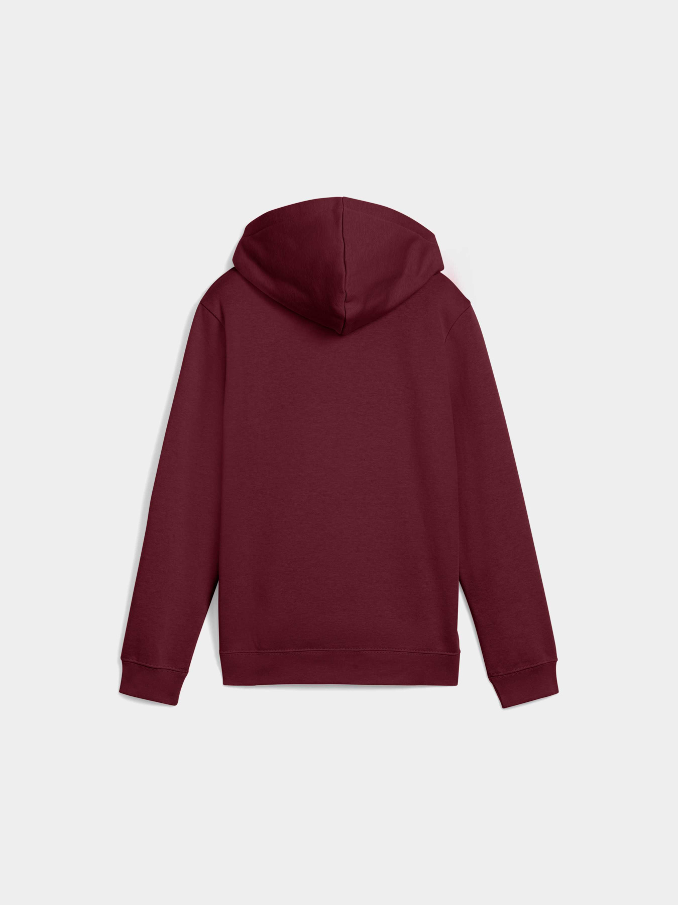 Худи PUMA Ess No. 1 Logo Hoodie модель 684896 Фото