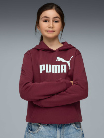 Худи PUMA Ess No. 1 Logo Hoodie модель 684896 Фото