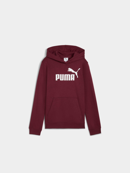 Худи PUMA Ess No. 1 Logo Hoodie модель 684896 Фото