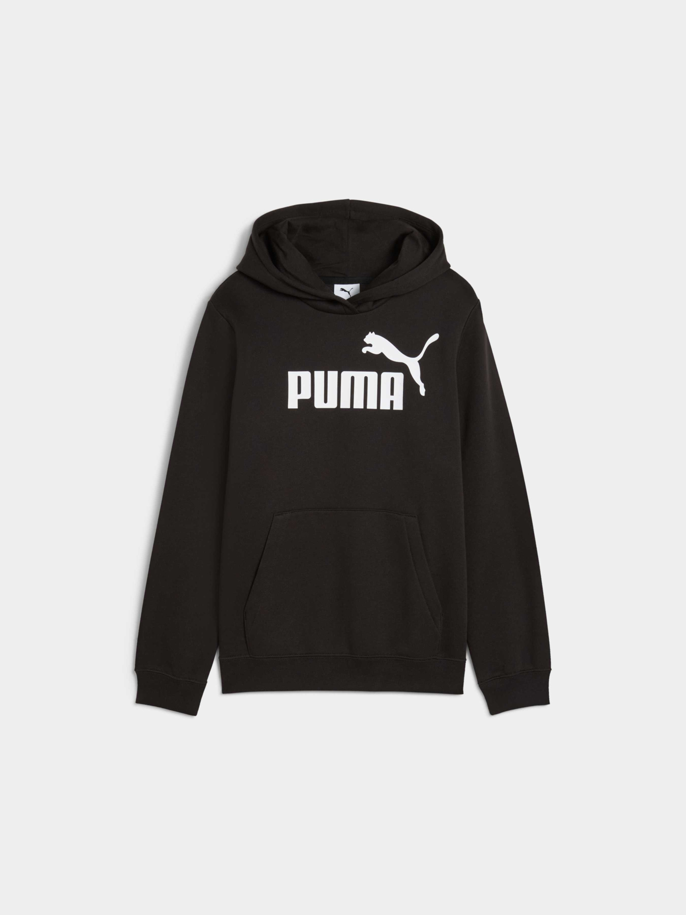 Худи PUMA Ess No. 1 Logo Hoodie модель 684896 Фото