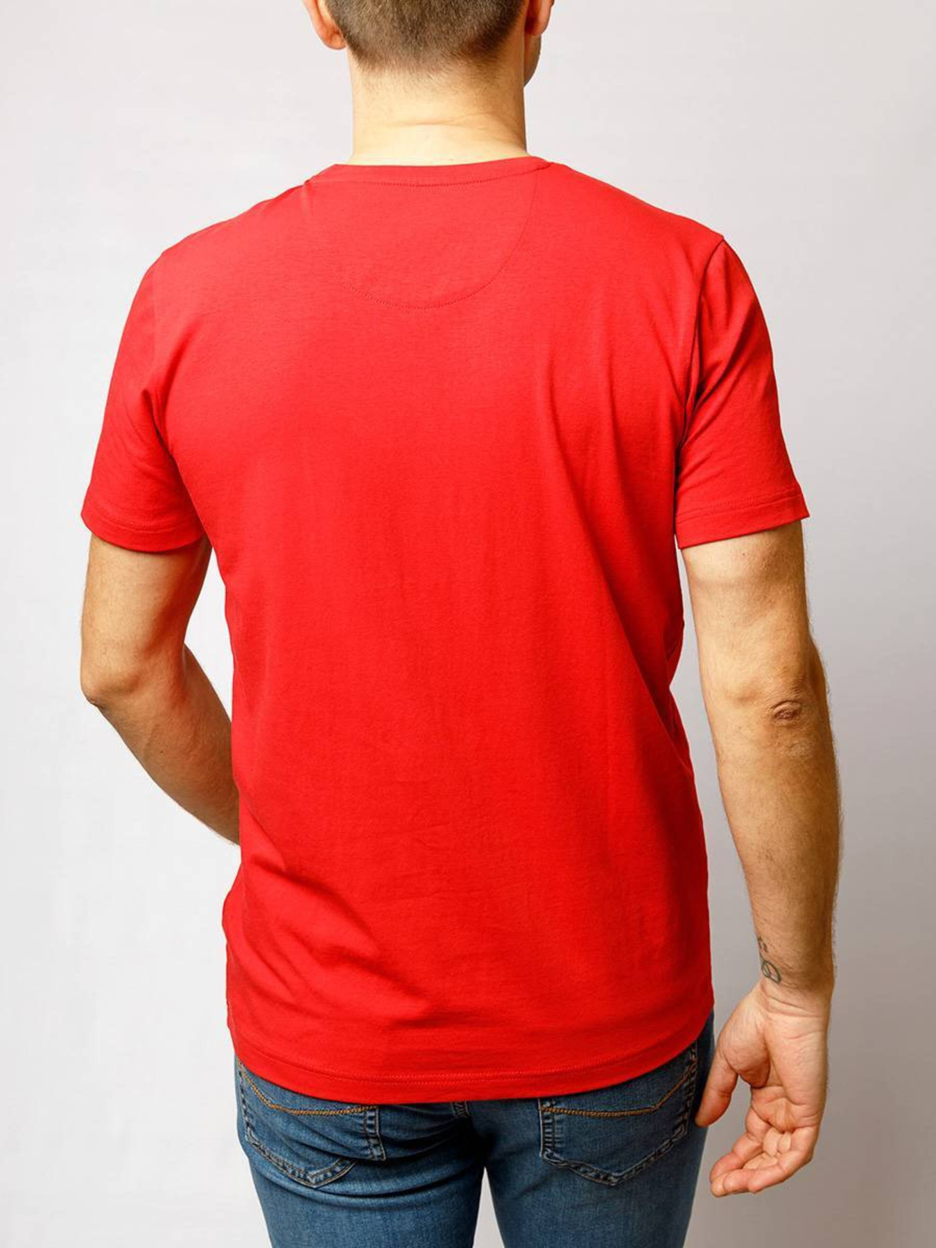 Футболка Pierre Cardin модель C5 21050.2101.4103 Фото