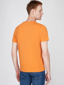 Футболка Pierre Cardin модель C5 21070.2103.3112 Фото