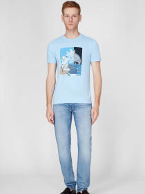 Футболка Pierre Cardin модель C5 21070.2103.6027 Фото