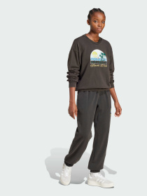 Свитшот Adidas Graphics модель JN6685 Фото