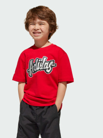 Спортивний комплект Adidas модель JC9101 Фото