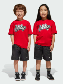 Спортивний комплект Adidas модель JC9101 Фото