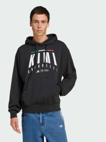 Кофта Adidas модель JZ8909 Фото