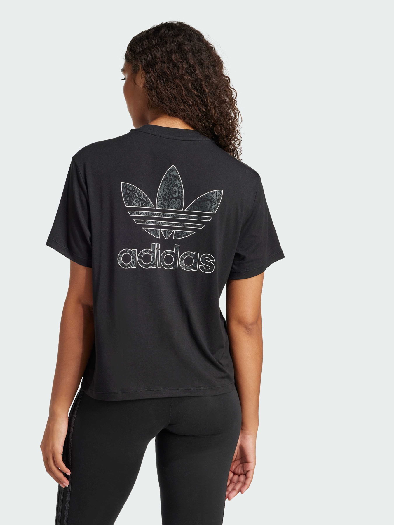 Футболка Adidas Graphics модель JC5748 Фото