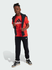 Футболка Adidas модель IX9528 Фото