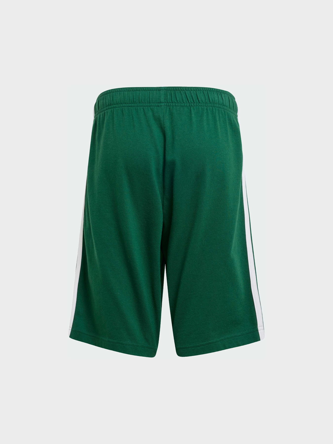 Шорты Adidas модель IX9558 Фото