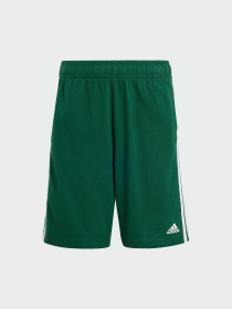 Шорты Adidas модель IX9558 Фото