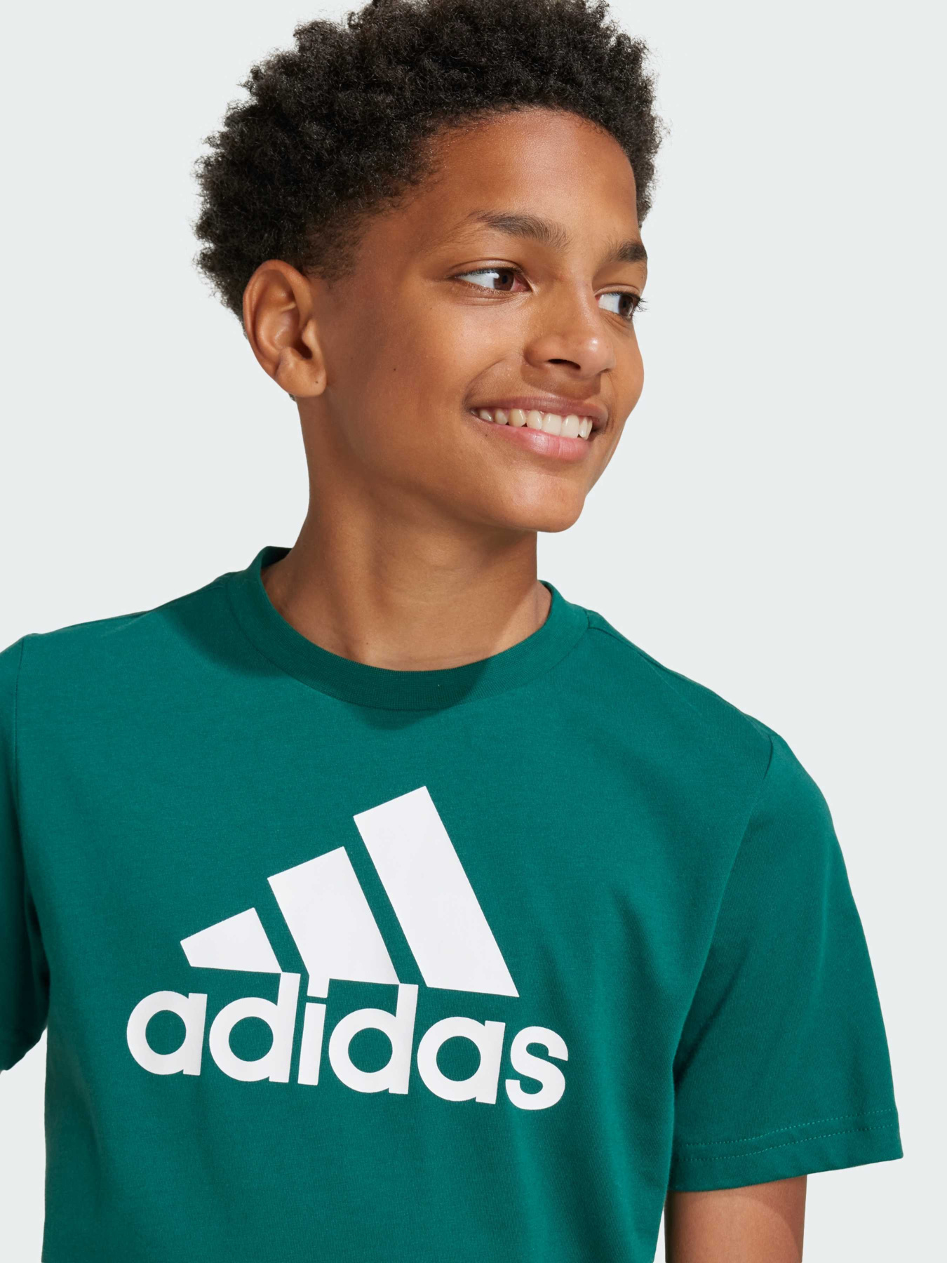 Футболка Adidas модель IX9569 Фото