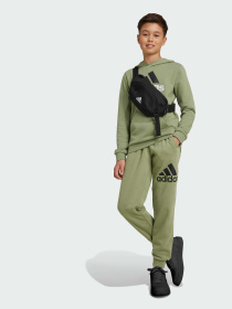 Джоггеры Adidas модель IX9586 Фото