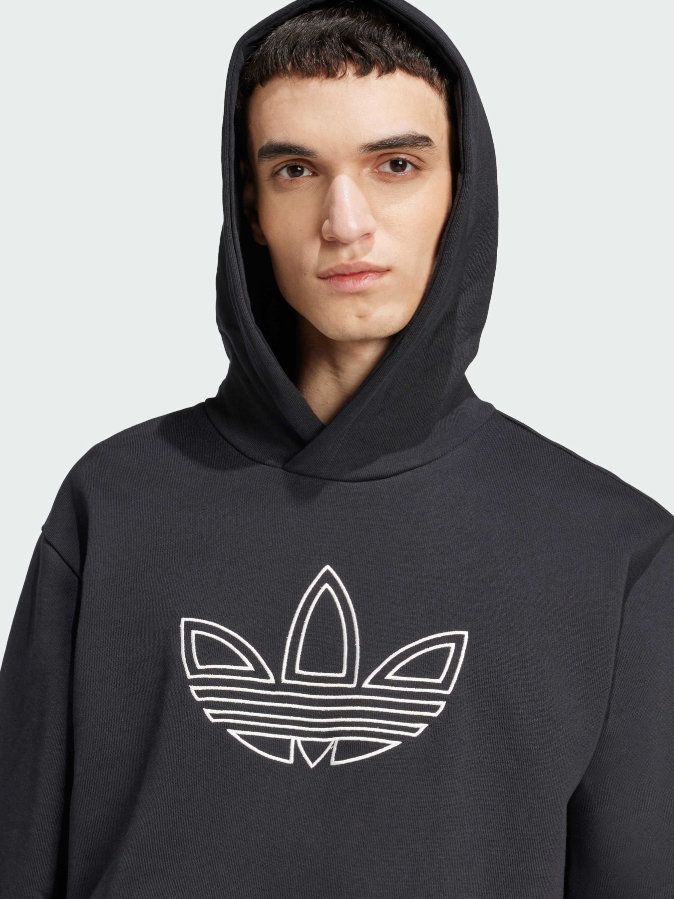 Худи Adidas Adicolor модель JJ1506 Фото