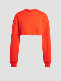 Кофта спортивная Adidas модель JJ2574 Фото