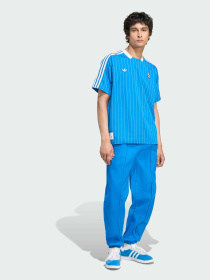 Спортивная футболка Adidas модель JN3060 Фото