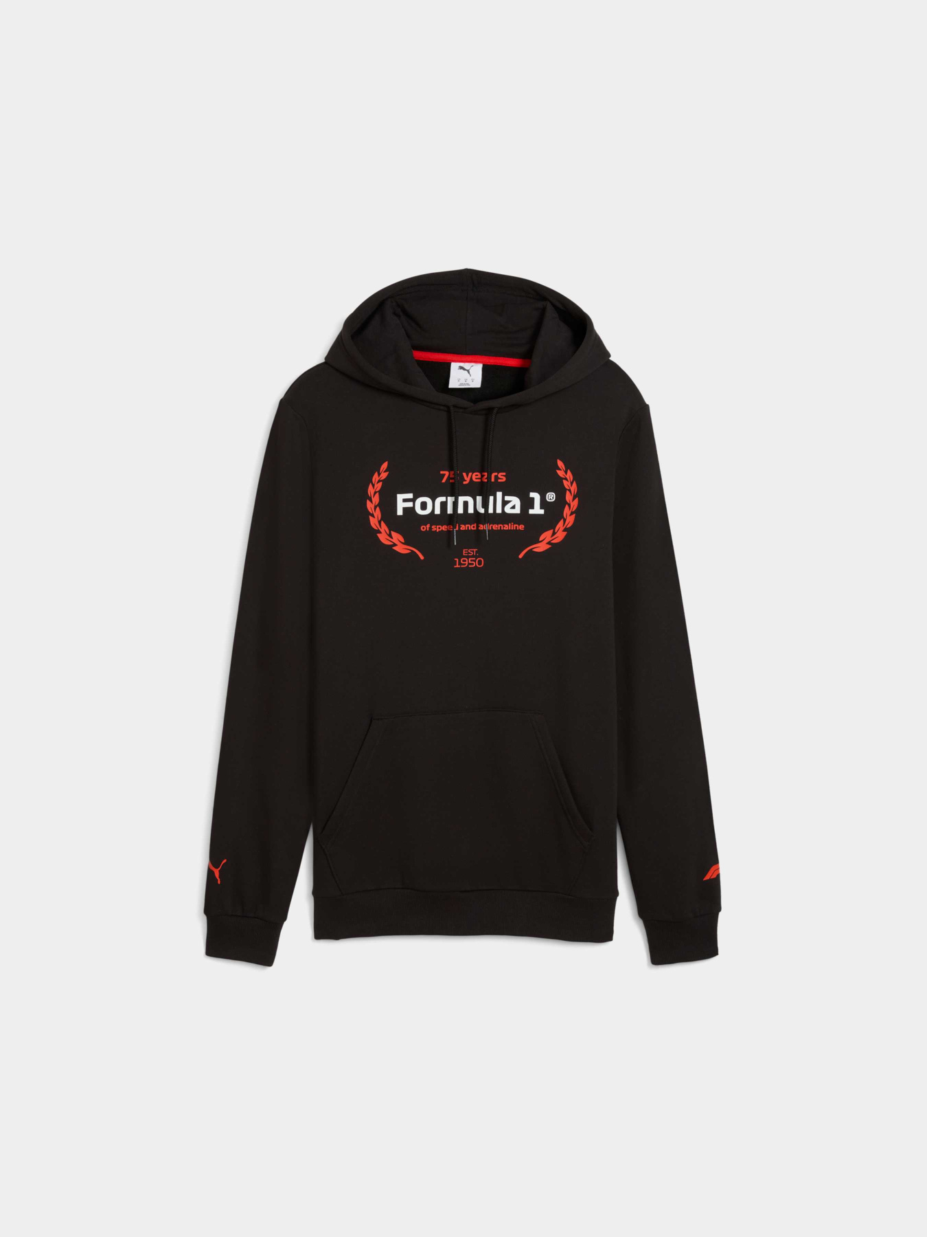 Худи PUMA F1 Ess Logo Graphic Hoodie модель 633165 Фото