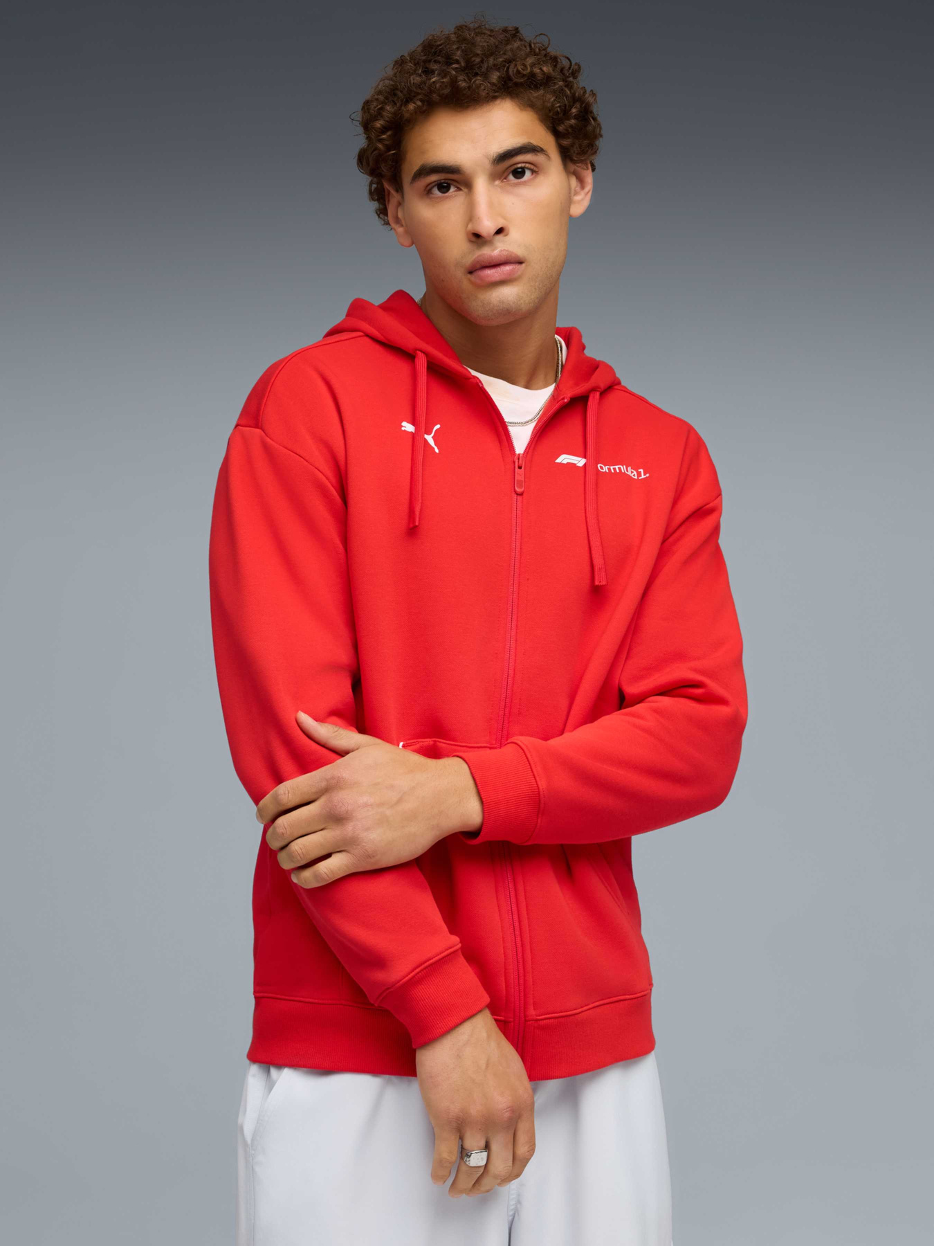 Спортивная кофта PUMA F1 Essential+ Fullzip Hoodie модель 632653 Спортивная кофта PUMA F1 Essential+ Fullzip Hoodie модель 632653 Фото